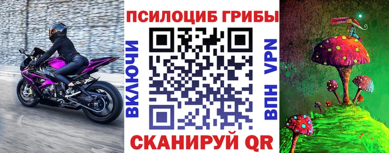 Галлюциногенные грибы Cubensis Купить где Старая Купавна